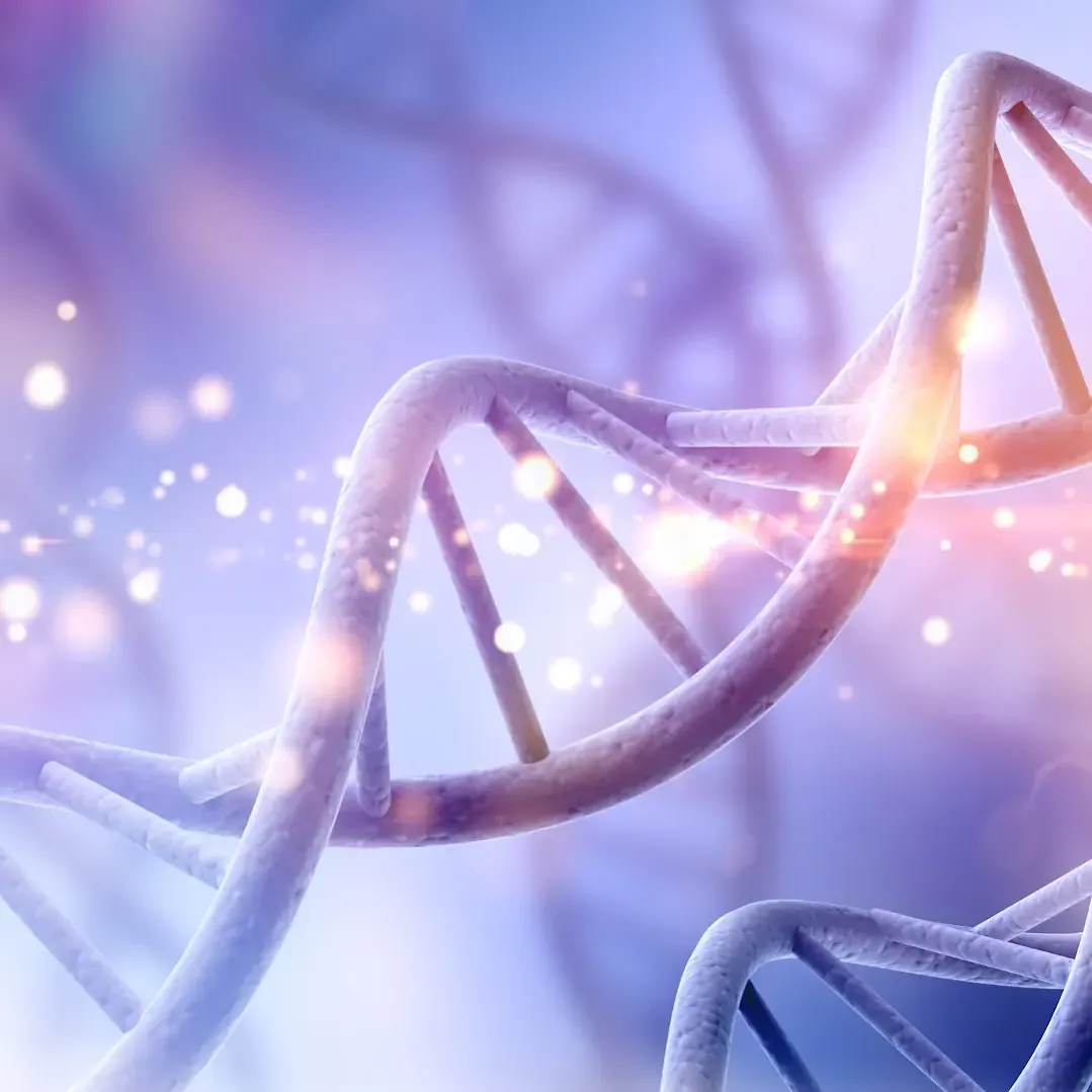 インタープリター事業